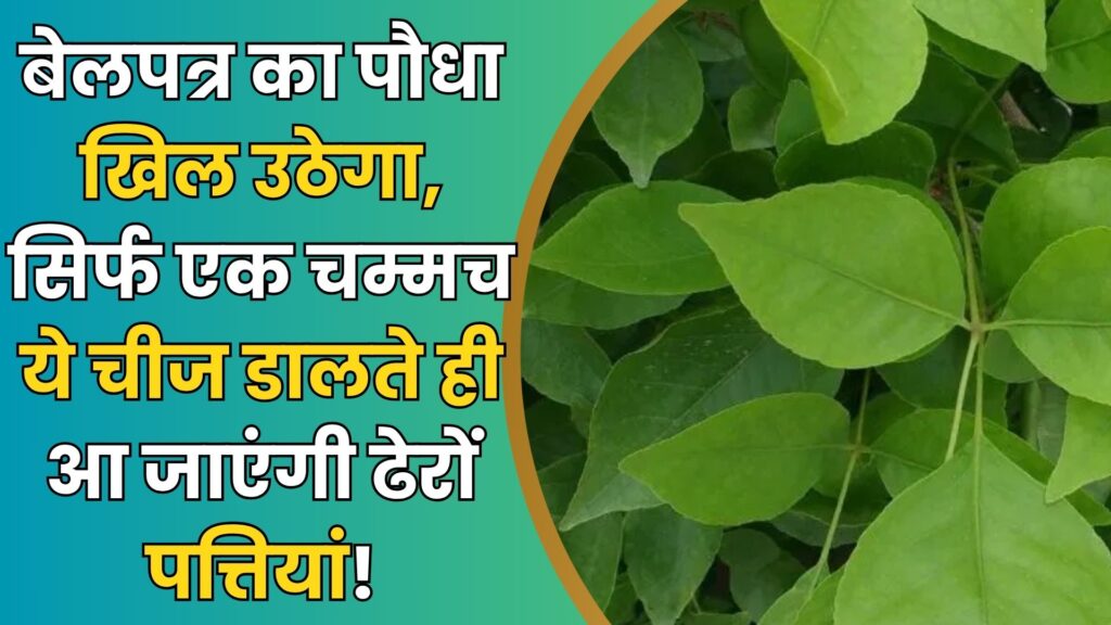 Gardening Magic: