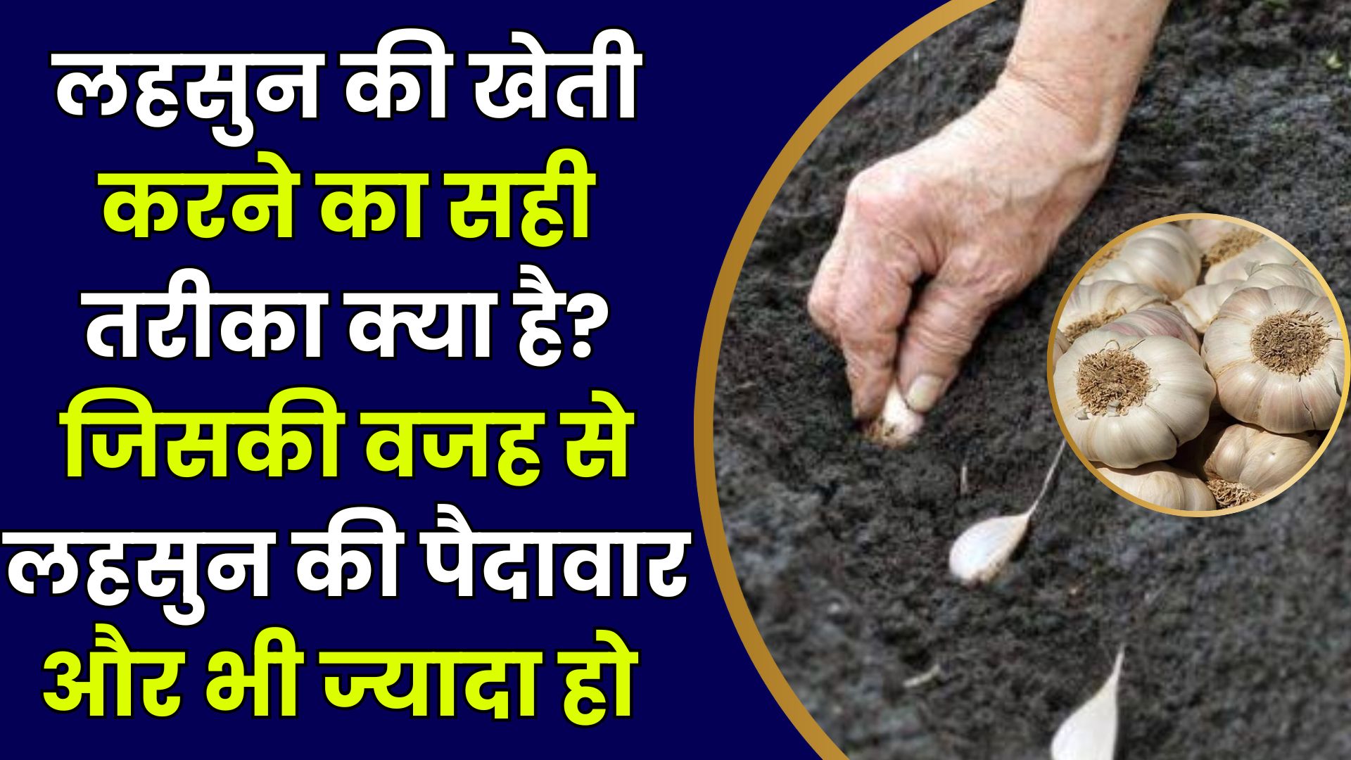 Lahsun Ki Kheti Kaise Karen