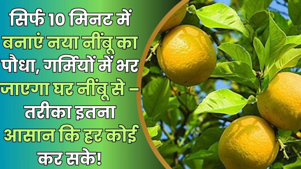 Monsoon Special