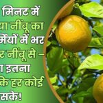 Monsoon Special