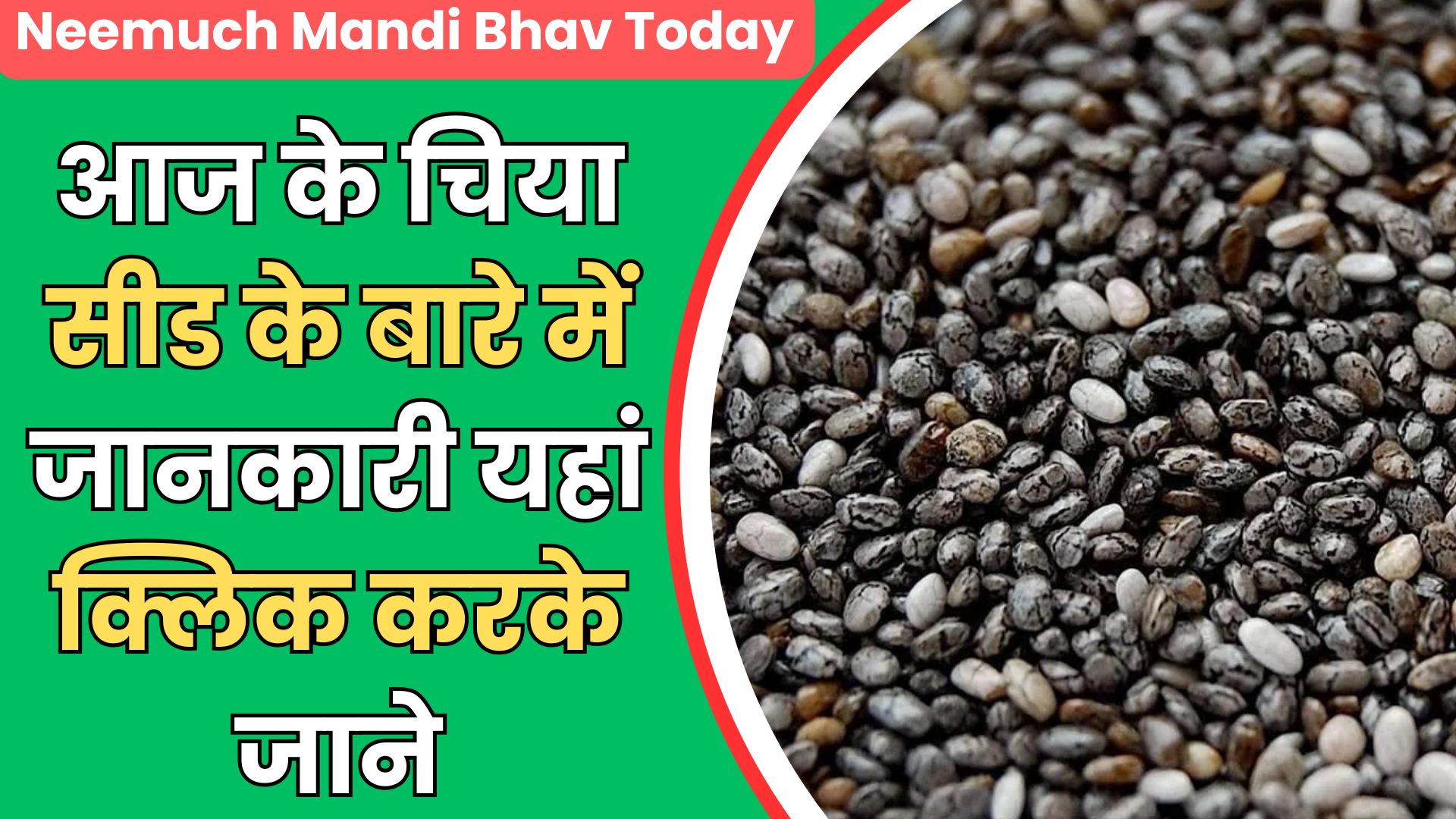 Neemuch Mandi Bhav Today (1)