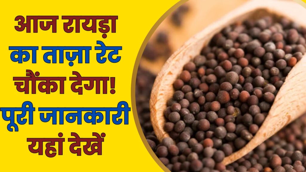 Neemuch Mandi Bhav Today