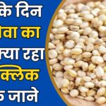 Neemuch Mandi Bhav Today (17)