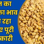 Neemuch Mandi Bhav Today