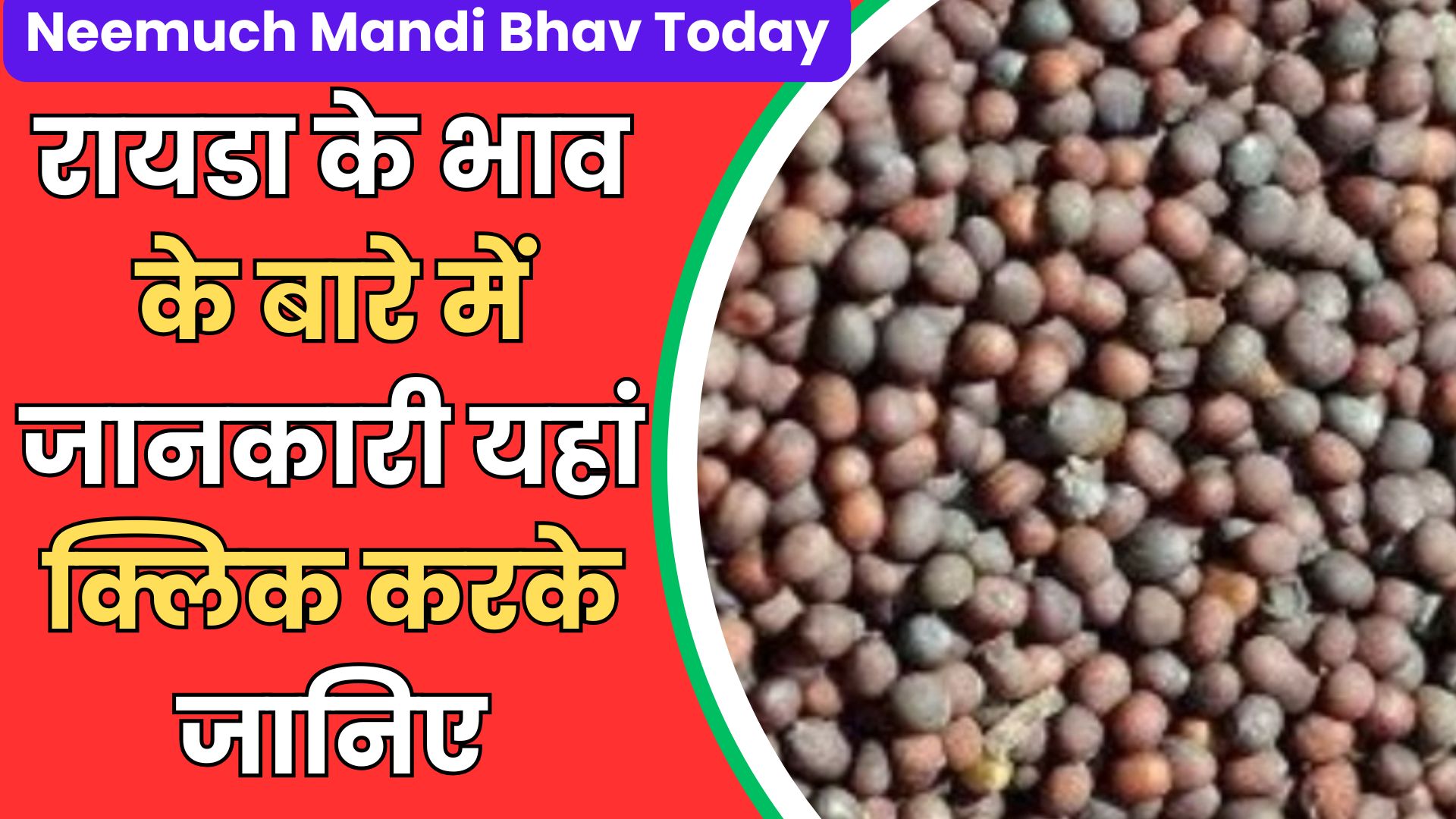 Neemuch Mandi Bhav Today (2)