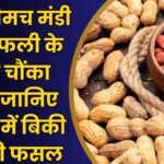 Neemuch Mandi Bhav Today (21)