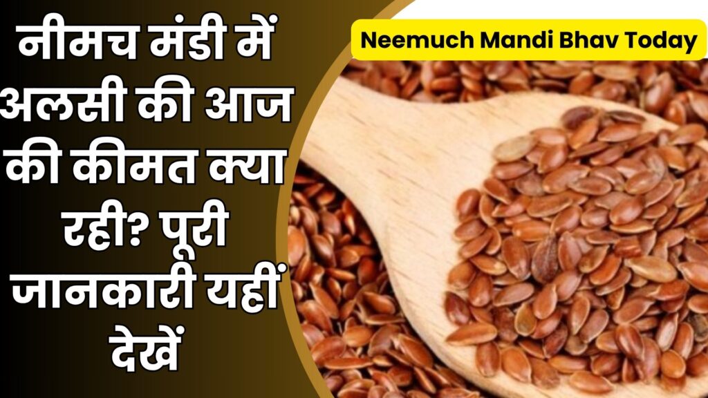 Neemuch Mandi Bhav Today (24)