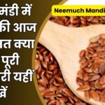Neemuch Mandi Bhav Today (24)
