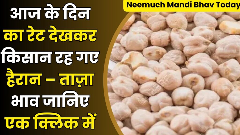 Neemuch Mandi Bhav Today