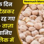Neemuch Mandi Bhav Today