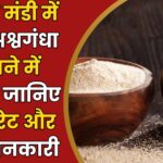 Neemuch Mandi Bhav Today