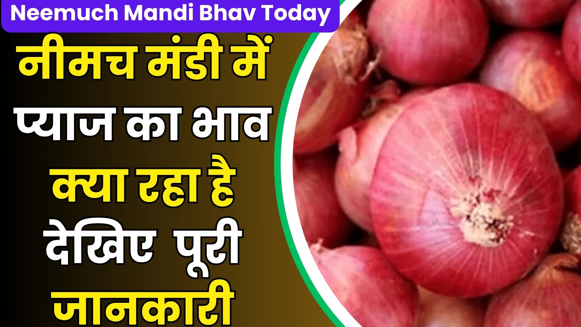 Neemuch Mandi Bhav Today