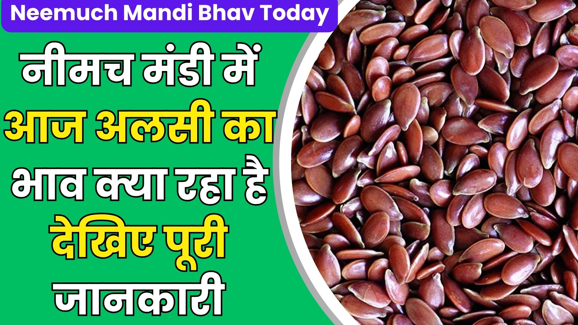 Neemuch Mandi Bhav Today (4)