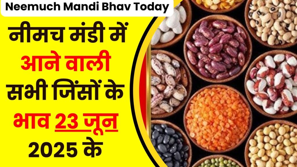 Neemuch Mandi Bhav Today