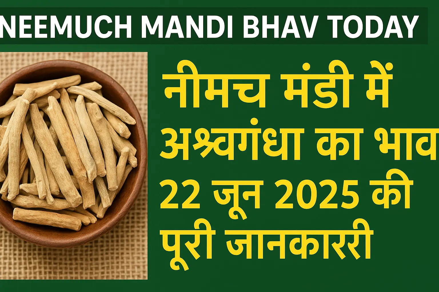 Neemuch Mandi Bhav Today