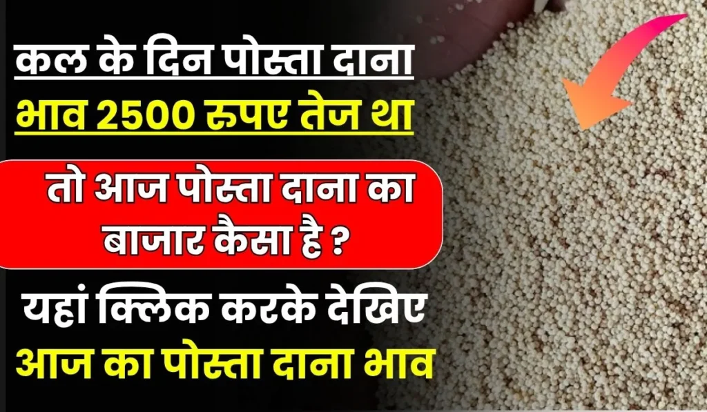 Neemuch Mandi Posta Dana Bhav 