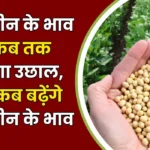 Soyabin Rate : सोयाबीन के भाव में कब तक आएगा उछाल, और कब बढ़ेंगे सोयाबीन के भाव