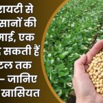 Top Soybean Varieties for 2025