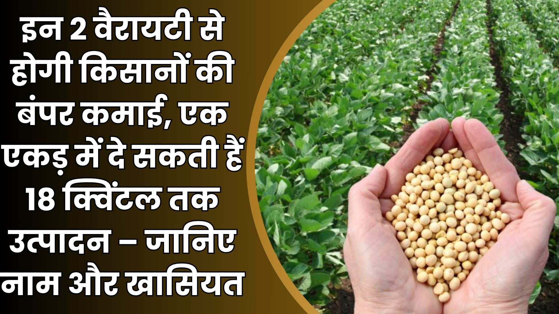 Top Soybean Varieties for 2025