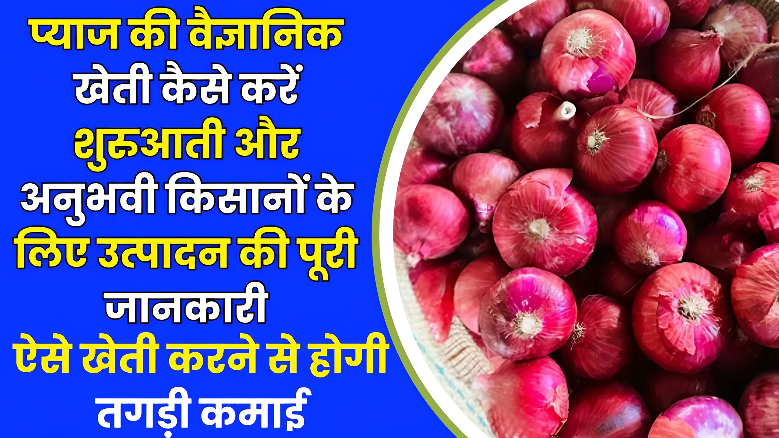 Pyaj Ki Kheti