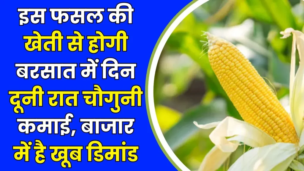 Agriculture Farming