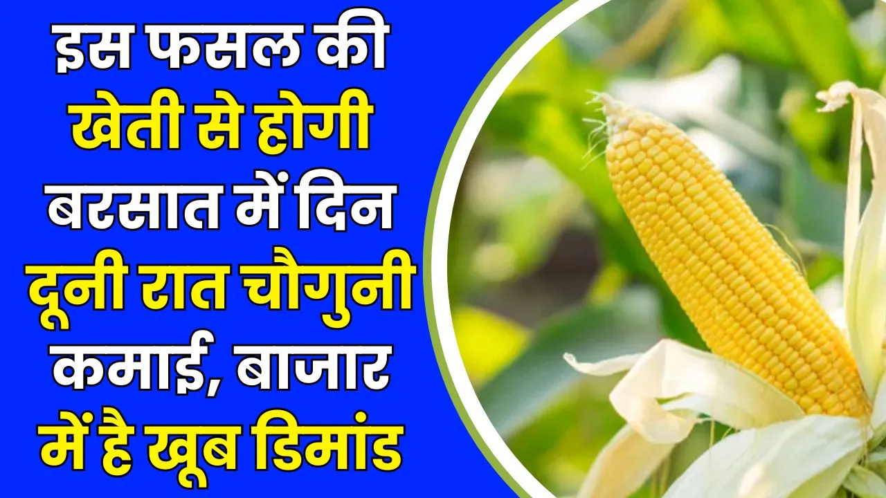 Agriculture Farming