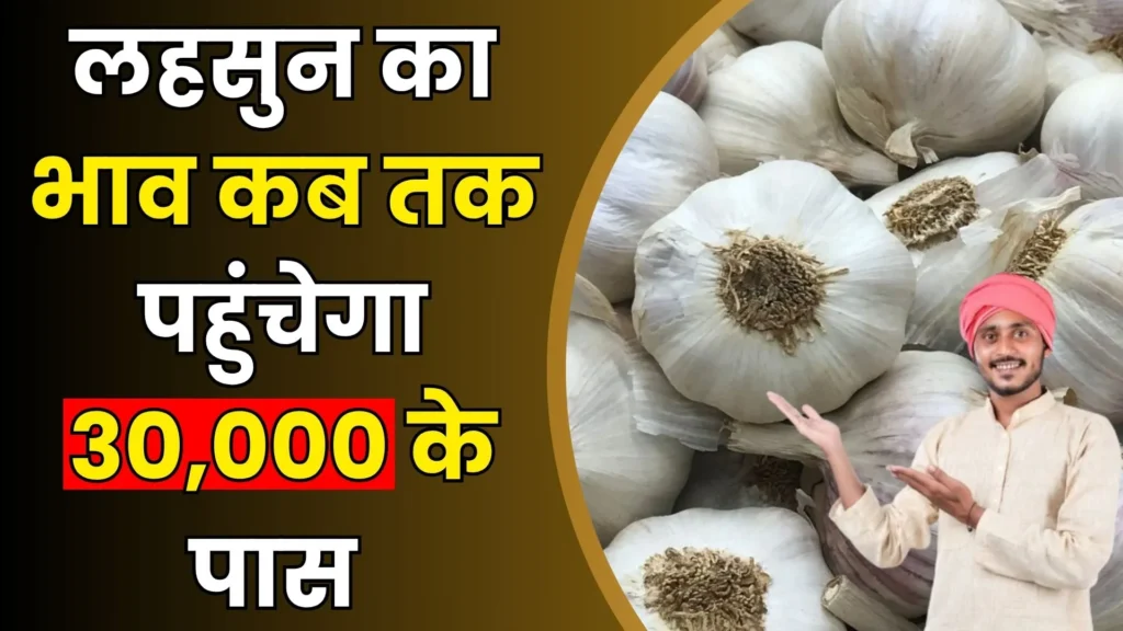 लहसुन का भाव कब तक पहुंचेगा 30,000 के पास