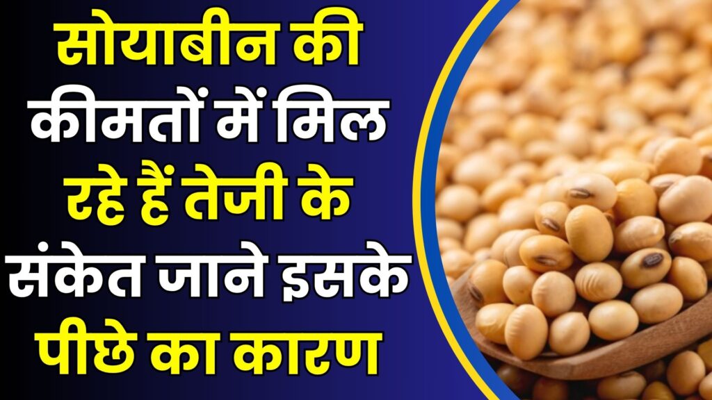 सोयाबीन की कीमतों में जोरदार उछाल के संकेत! जानिए इसके पीछे की असली वजह