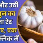 Neemuch Mandi Bhav Today (17)