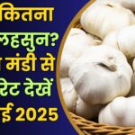 Neemuch Mandi Bhav Today